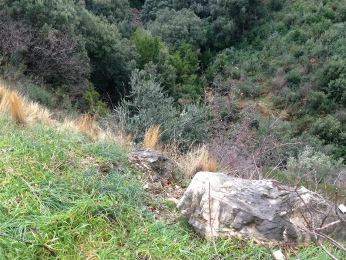 Stikovica prometna 0