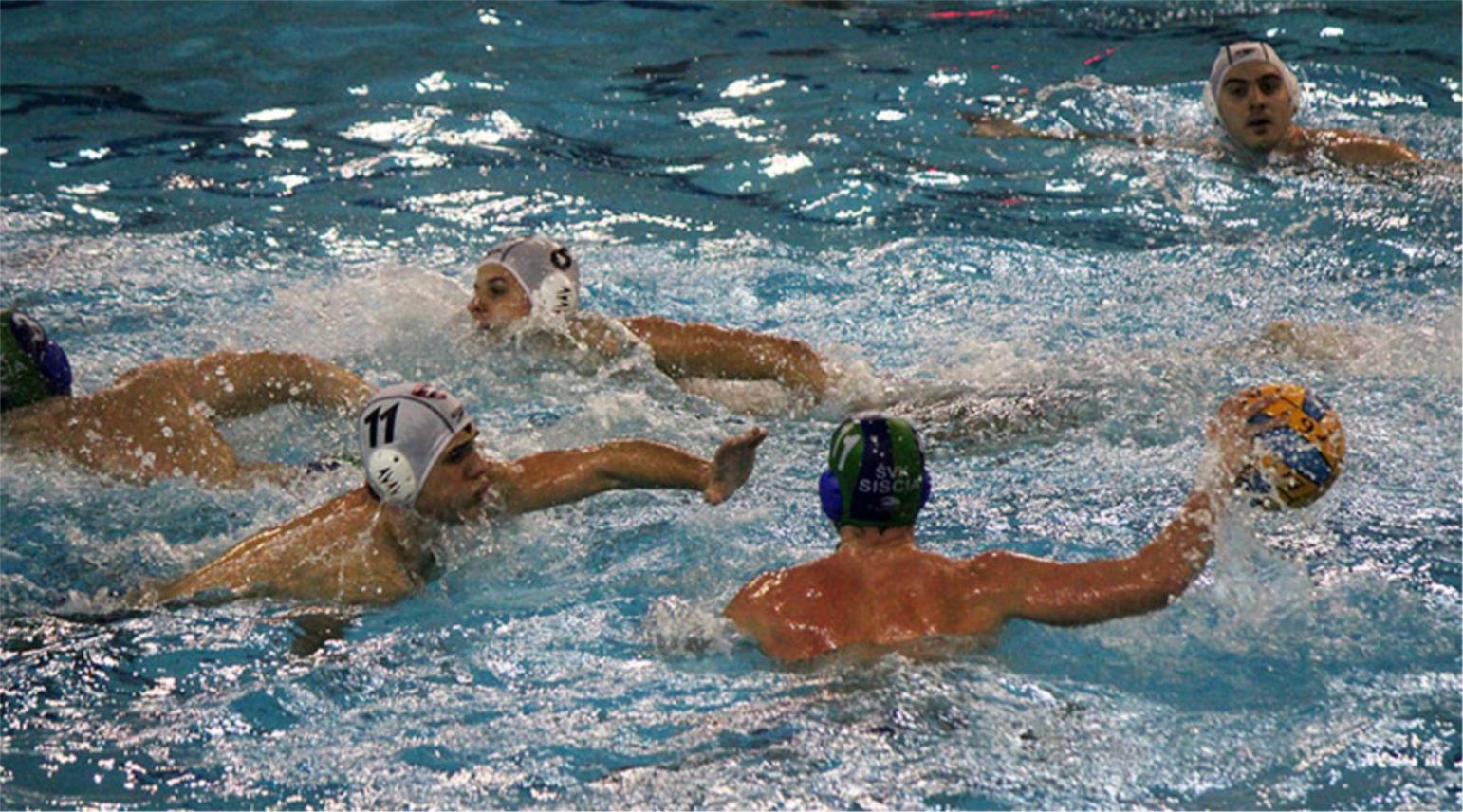Bellevue vaterpolo