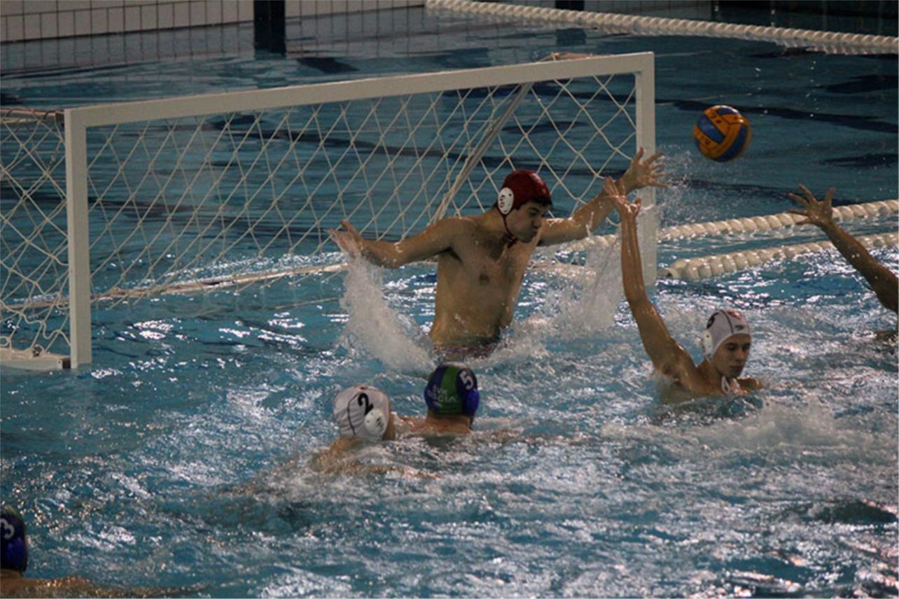 Bellevue vaterpolo