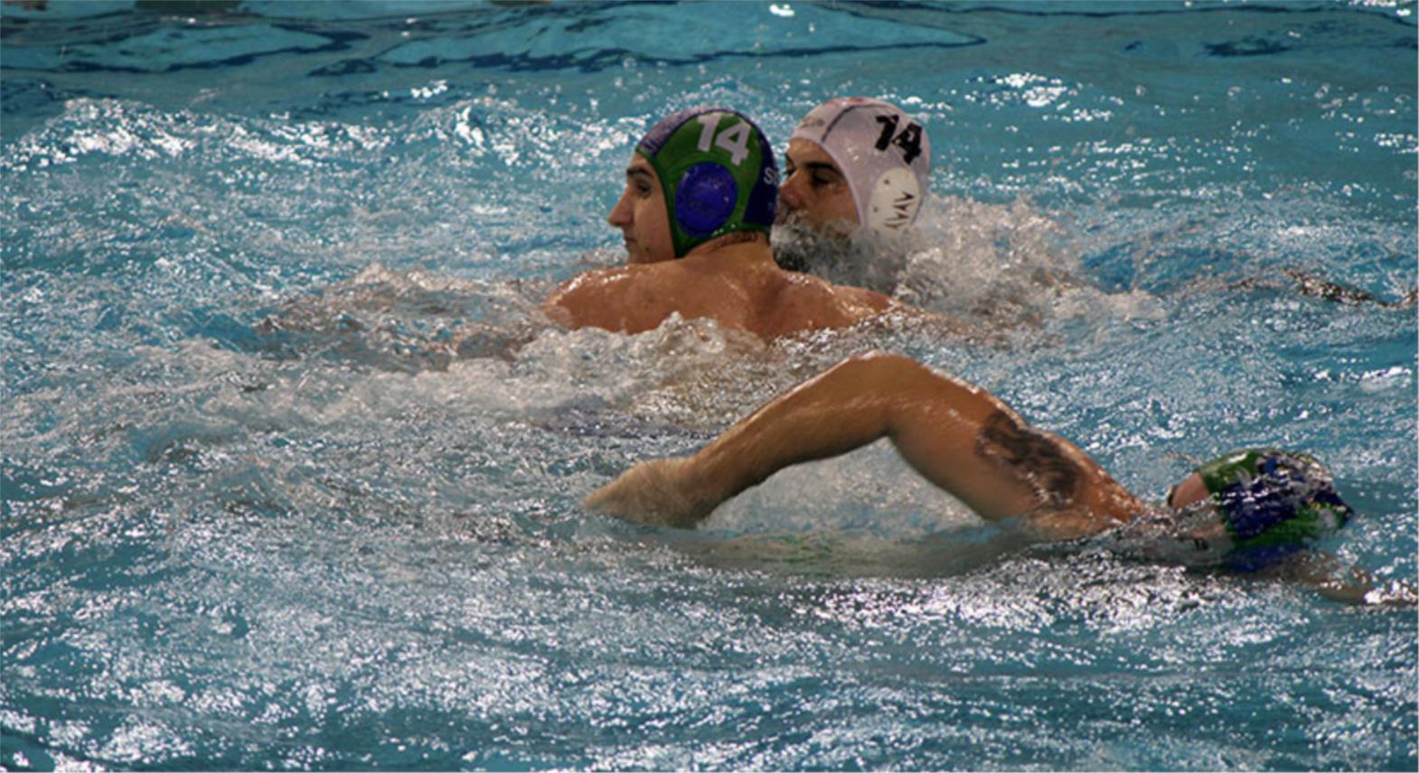 Bellevue vaterpolo