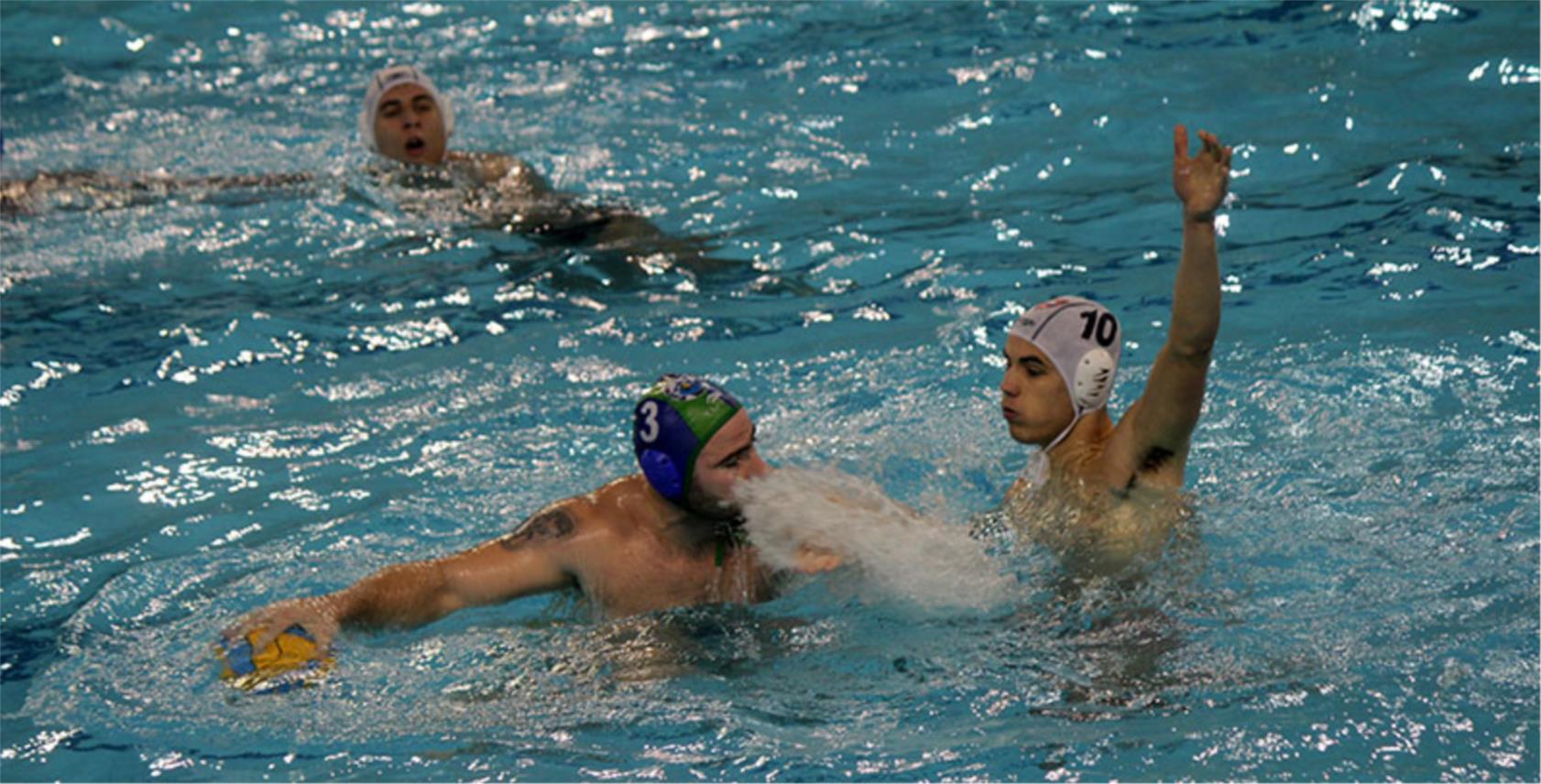 Bellevue vaterpolo