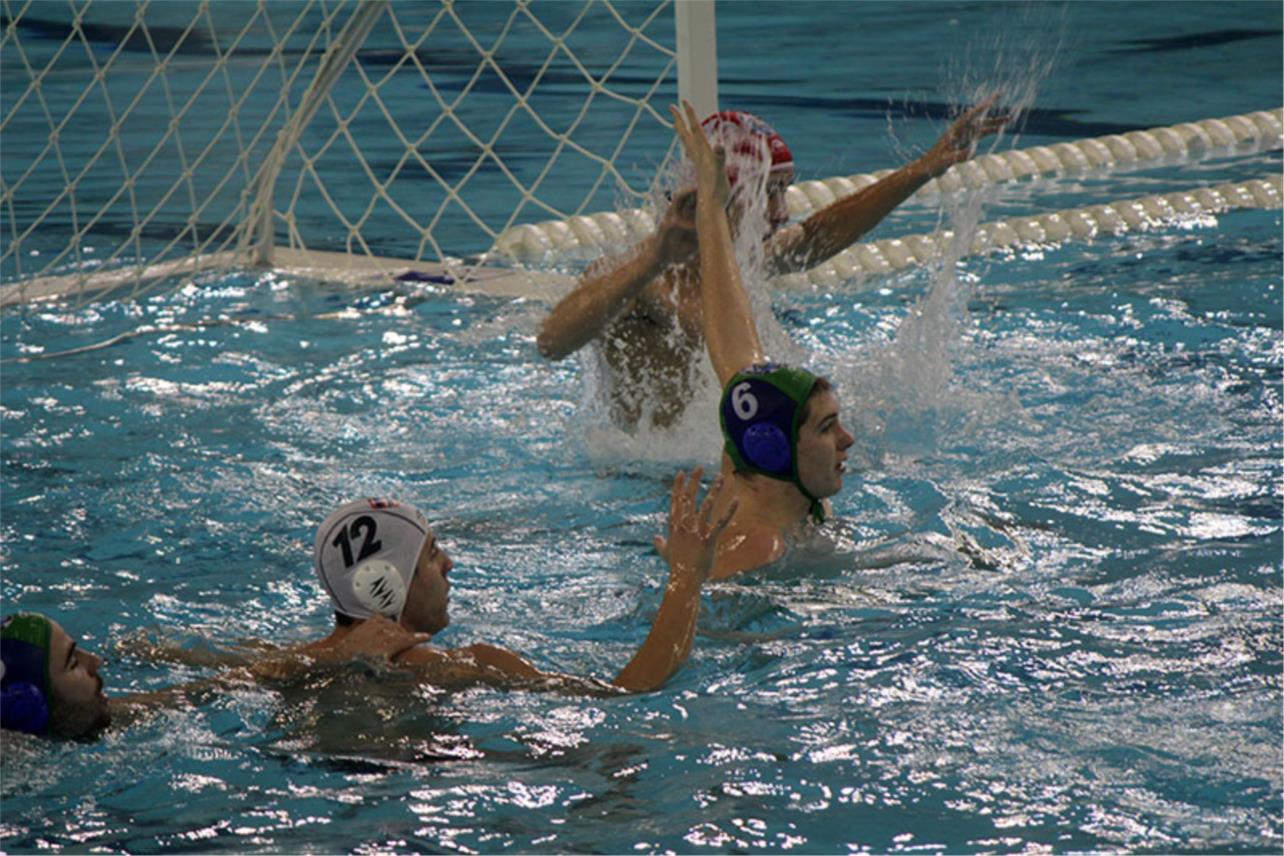 Bellevue vaterpolo