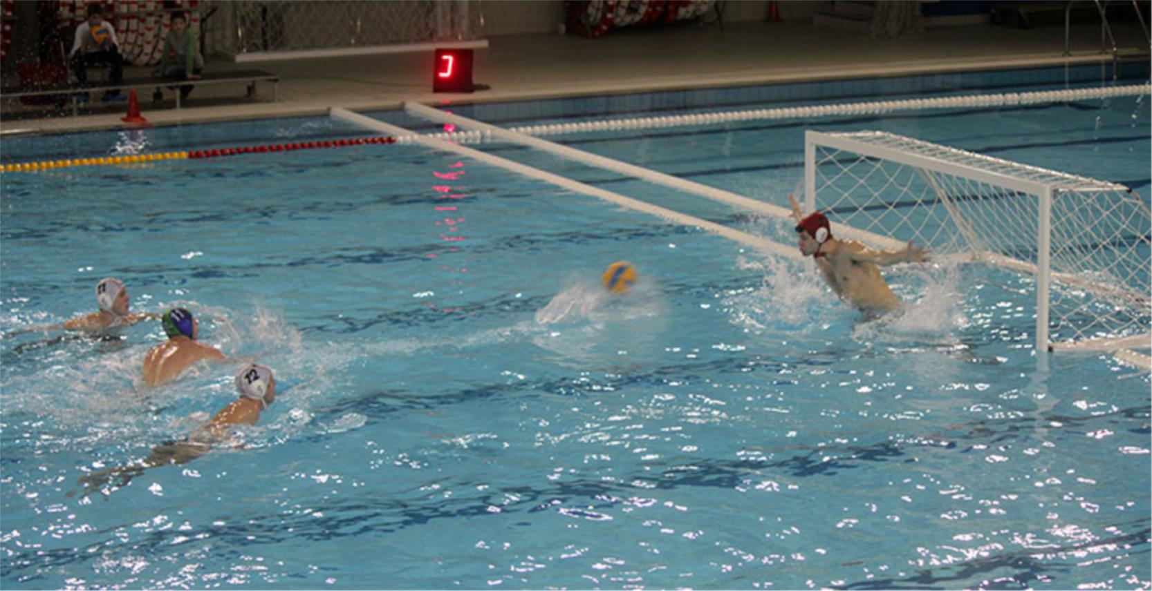 Bellevue vaterpolo