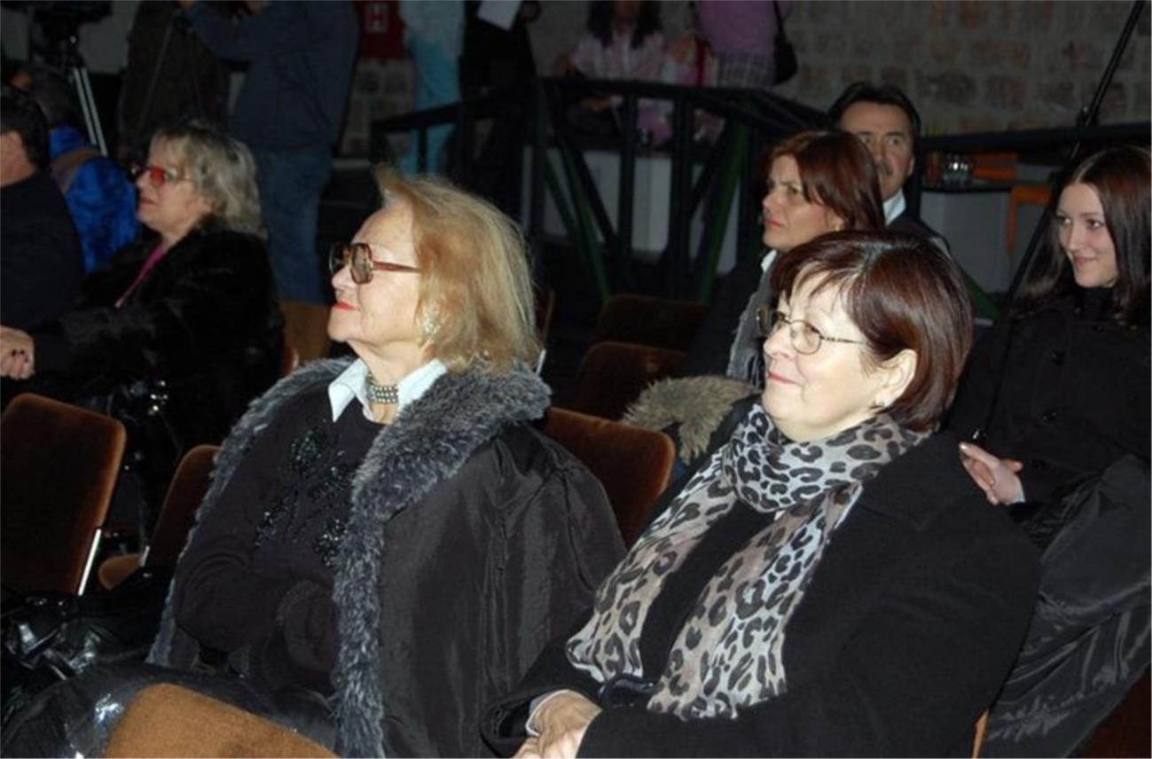 Festival zabavne glazbe 0