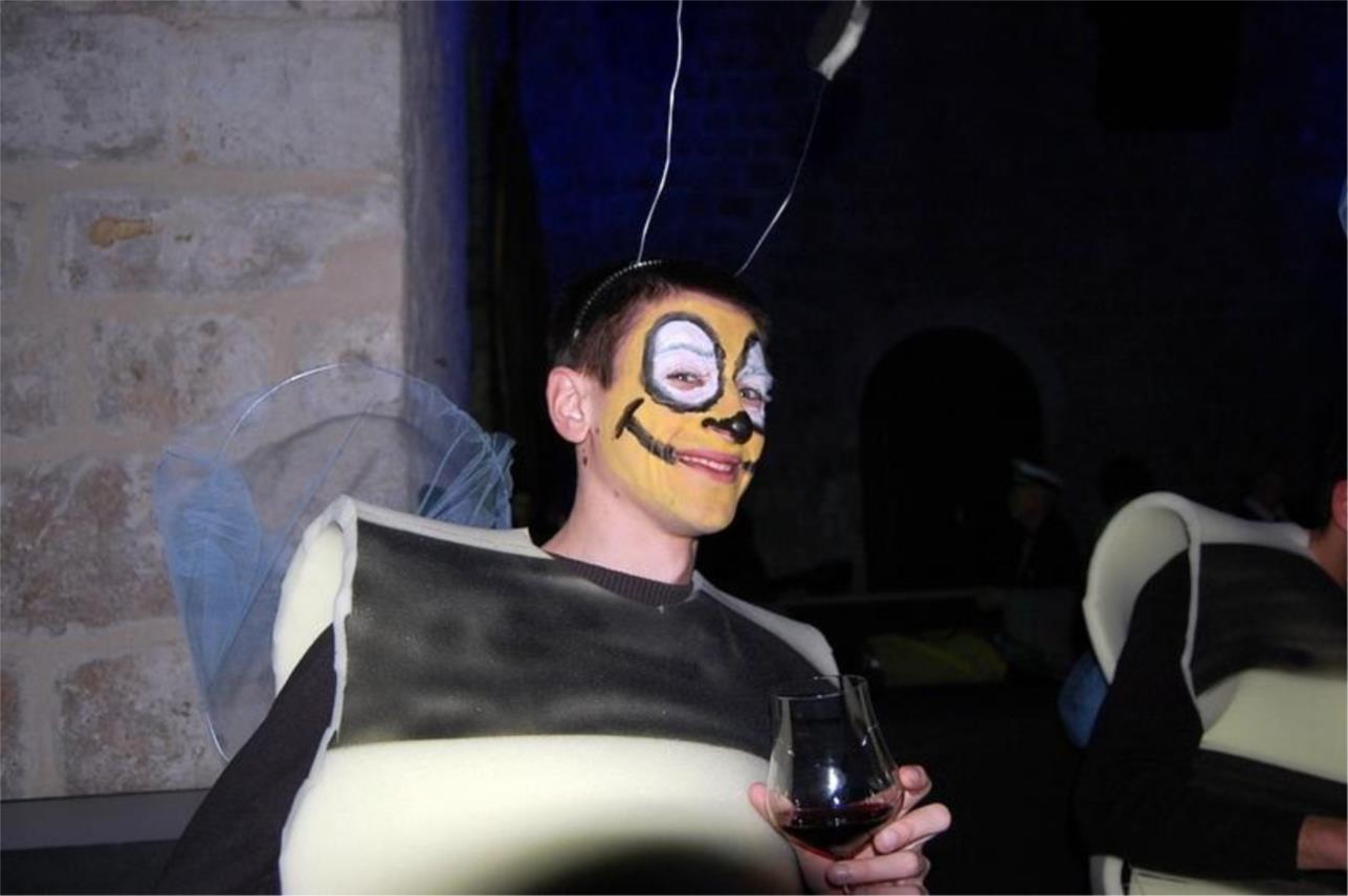 Festival zabavne glazbe 0