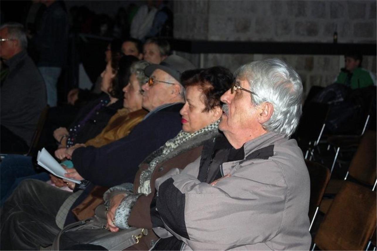 Festival zabavne glazbe 0
