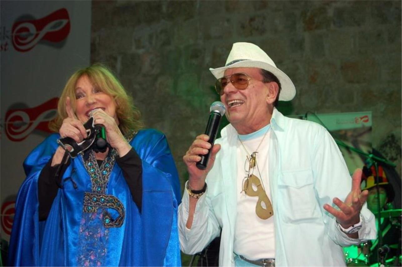 Festival zabavne glazbe 0