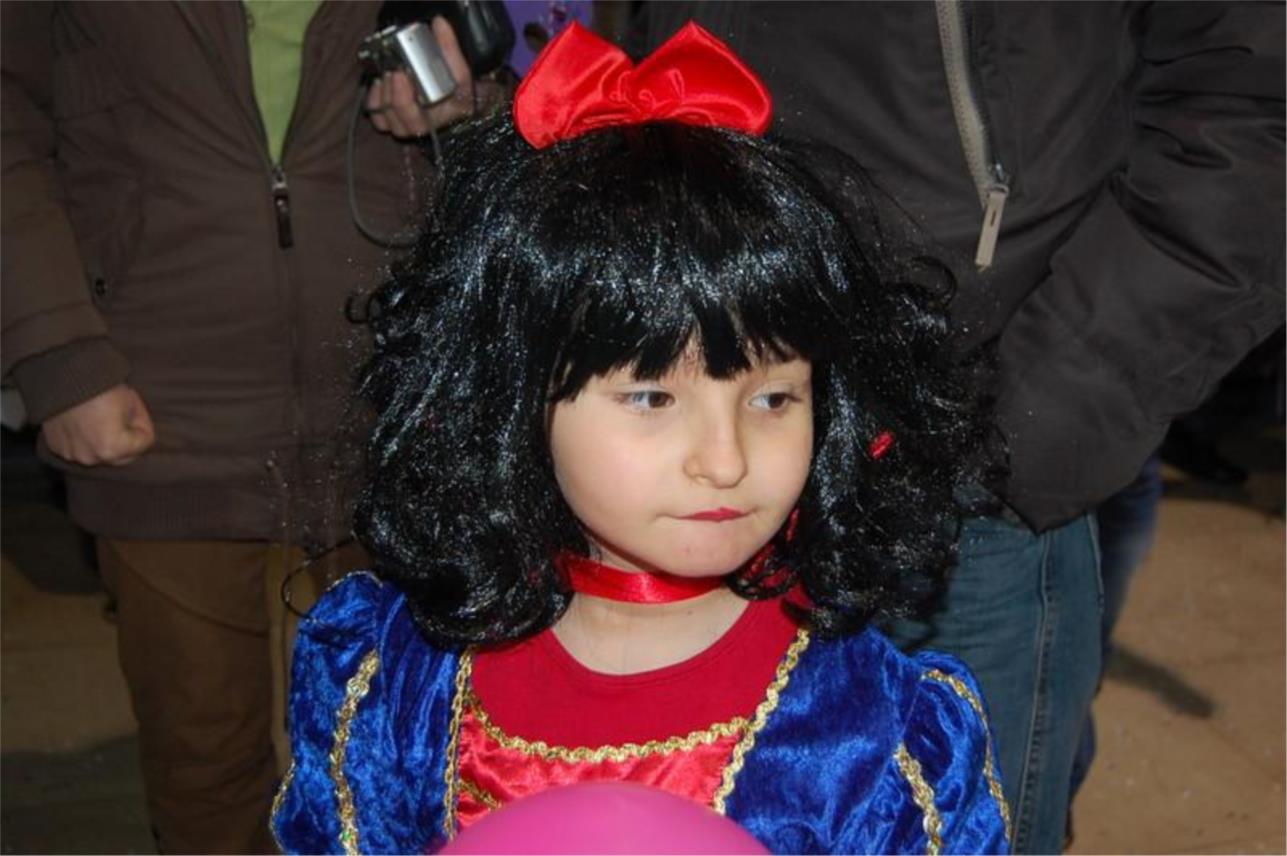 Dubrovački karnevo 0