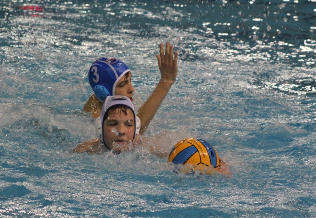 Tomo Udovicic