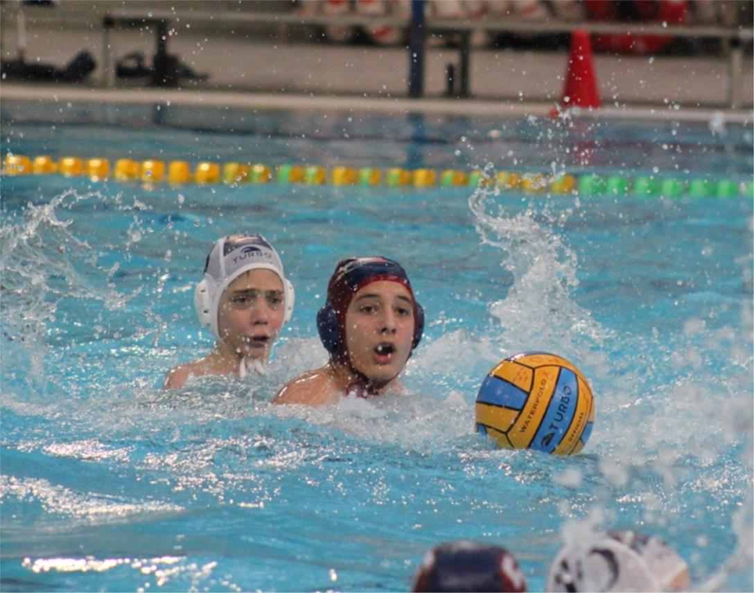 Tomo Udovicic