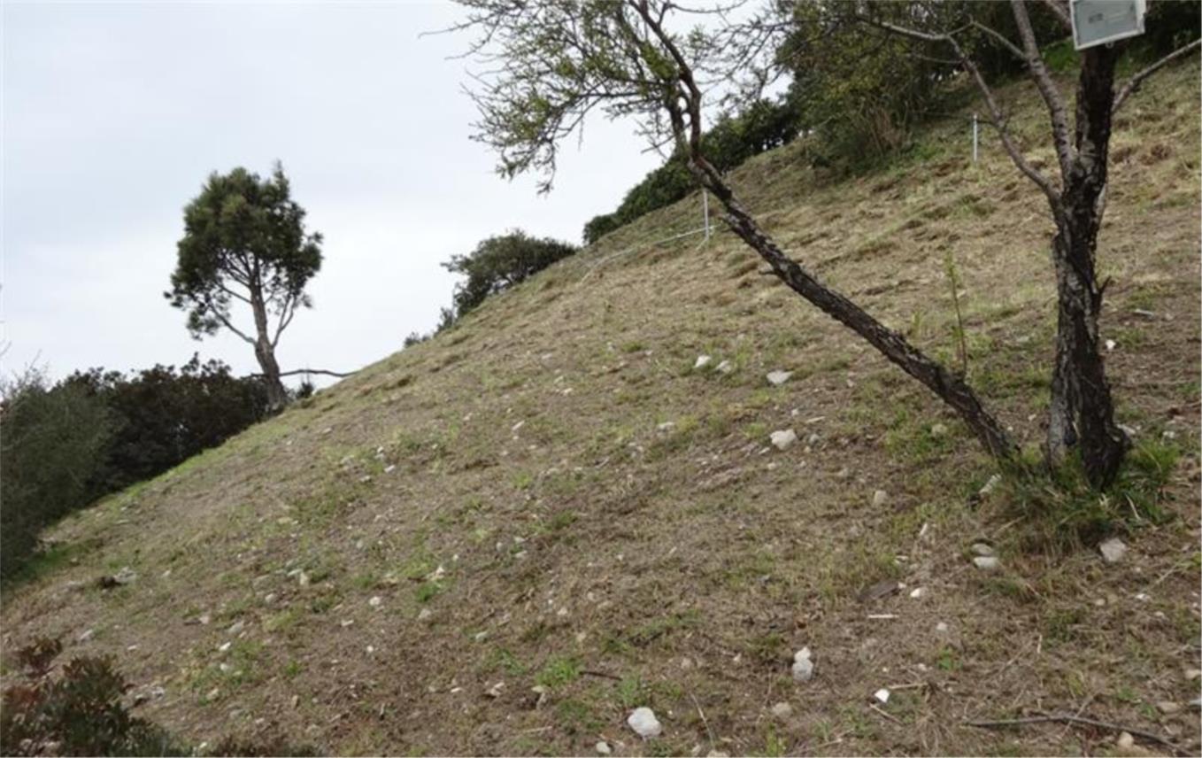 Orsula ciscenje smeca 0