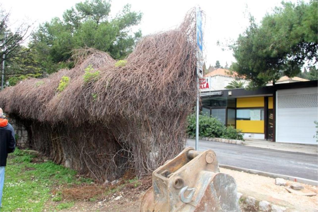 Asfaltirana Batala 0