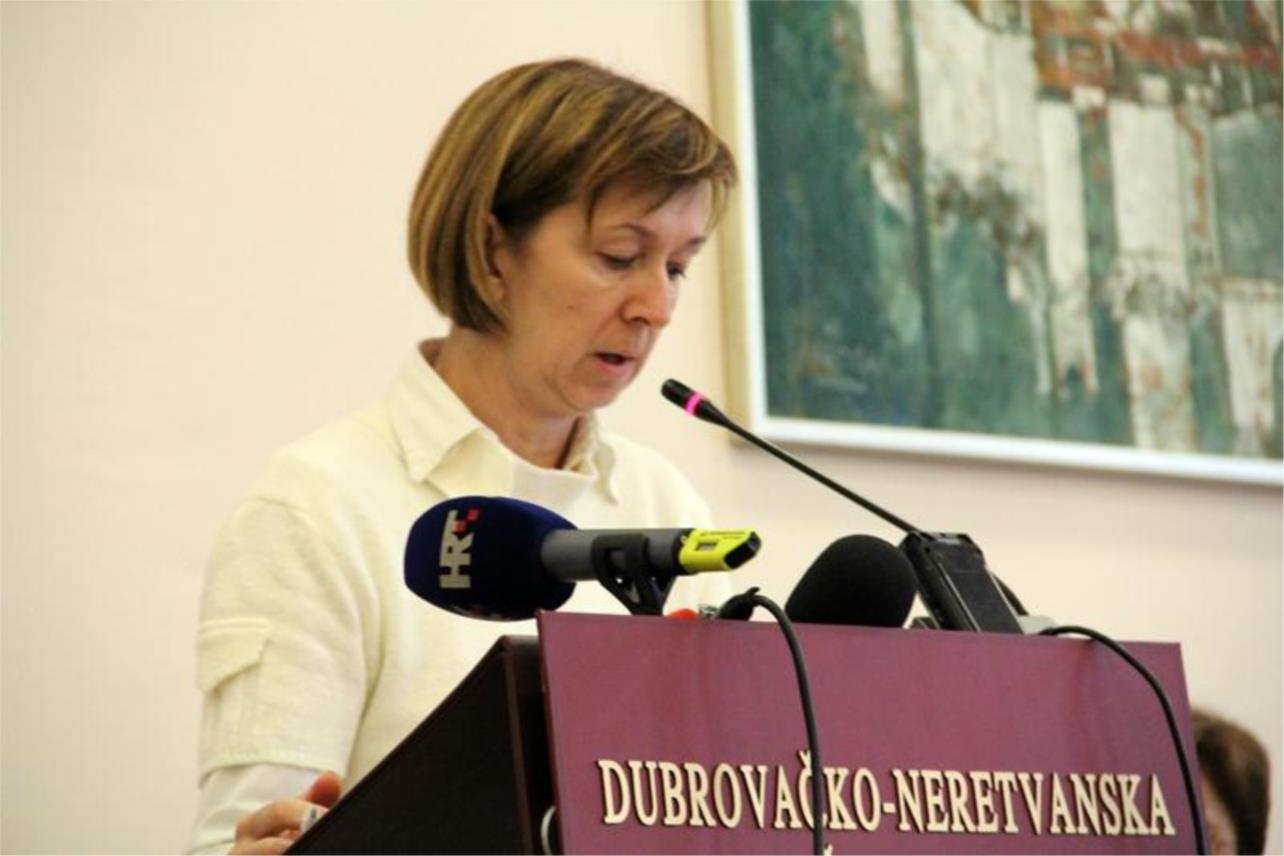 Županijska skupština travanja 2013 0