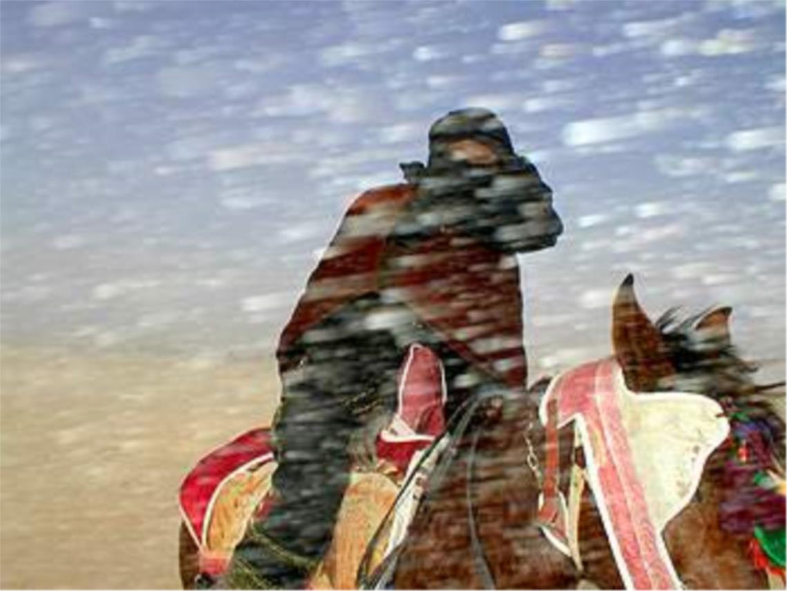 tuaregvladarpustinje_mala2pl.jpg
