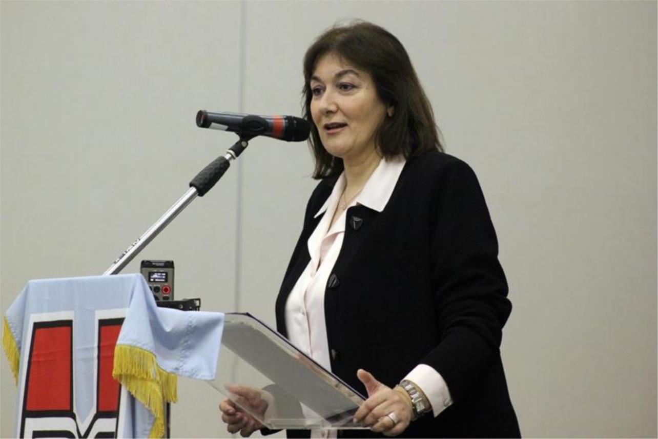 HDZ Županija 0