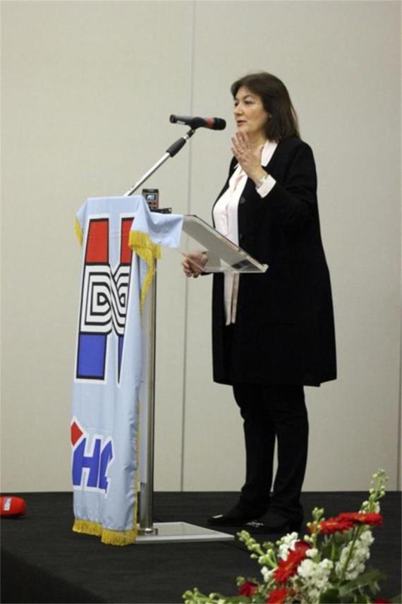 HDZ Županija 0