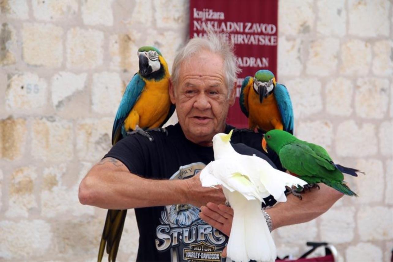 Stradun gužva  0