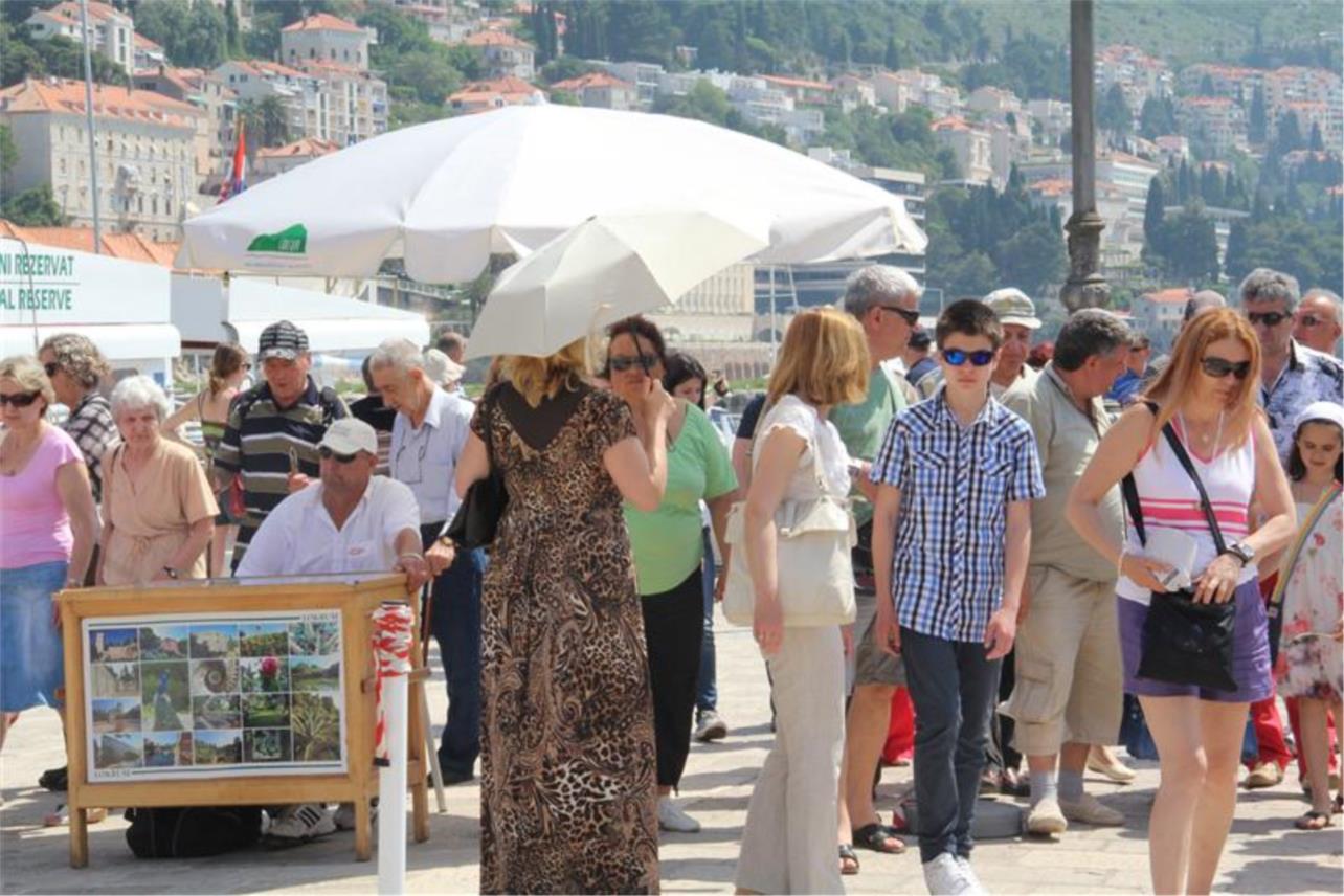 Špica Dubrovnik  0