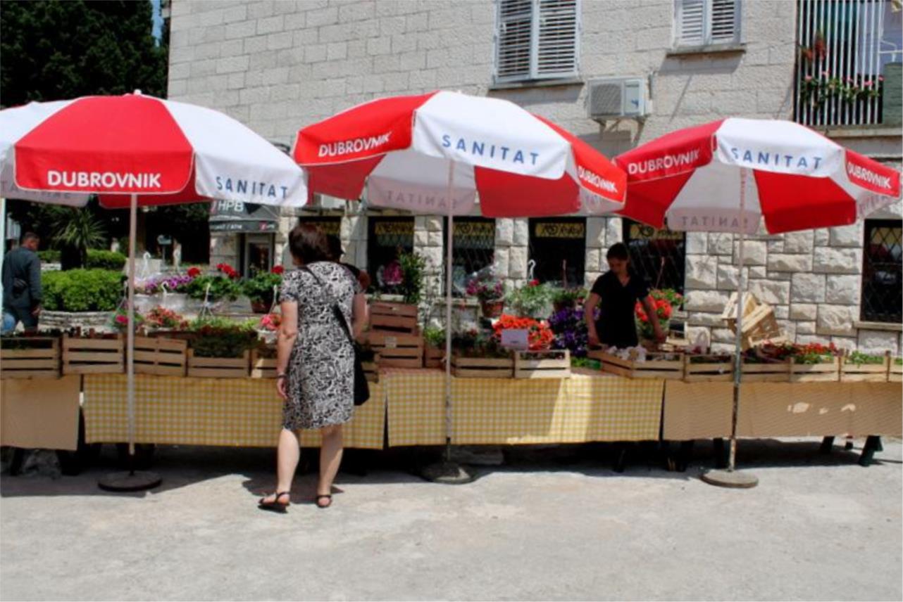 Sajam cvijeća 0