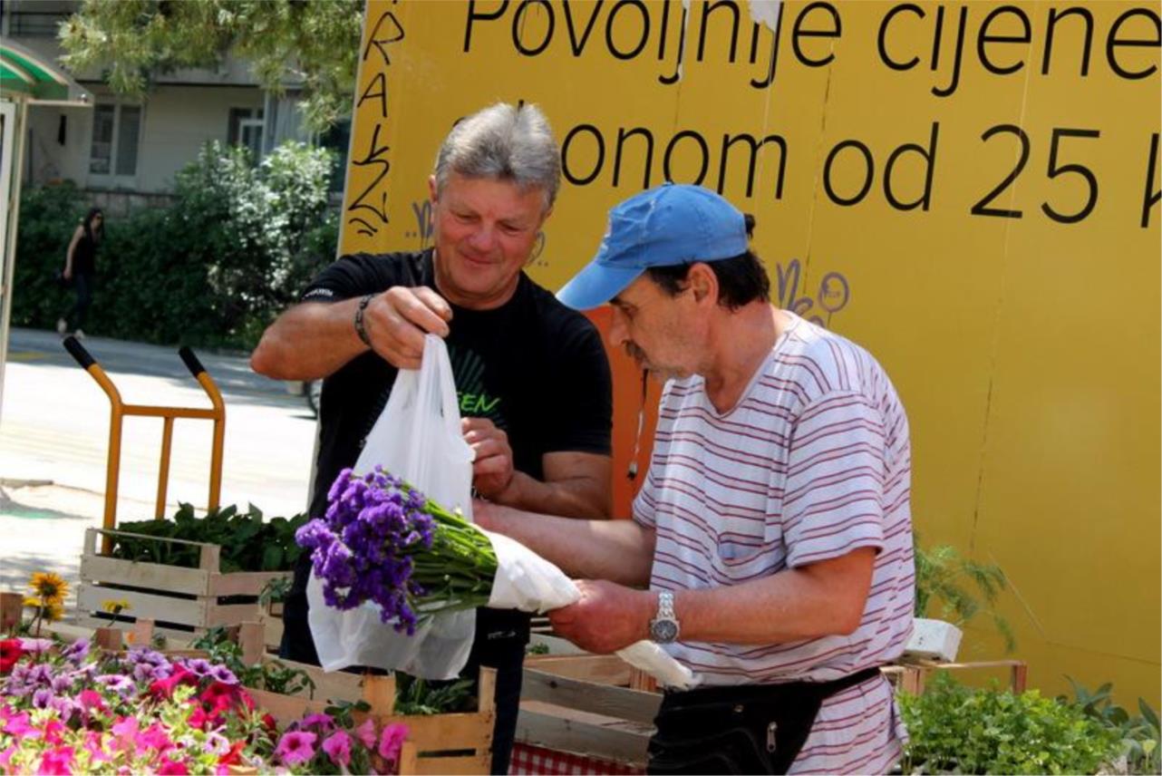Sajam cvijeća 0