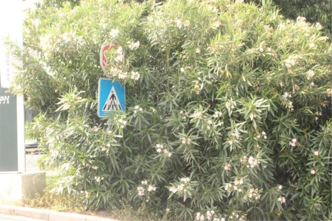 Prometni znakovi jedva su uočljivi 0