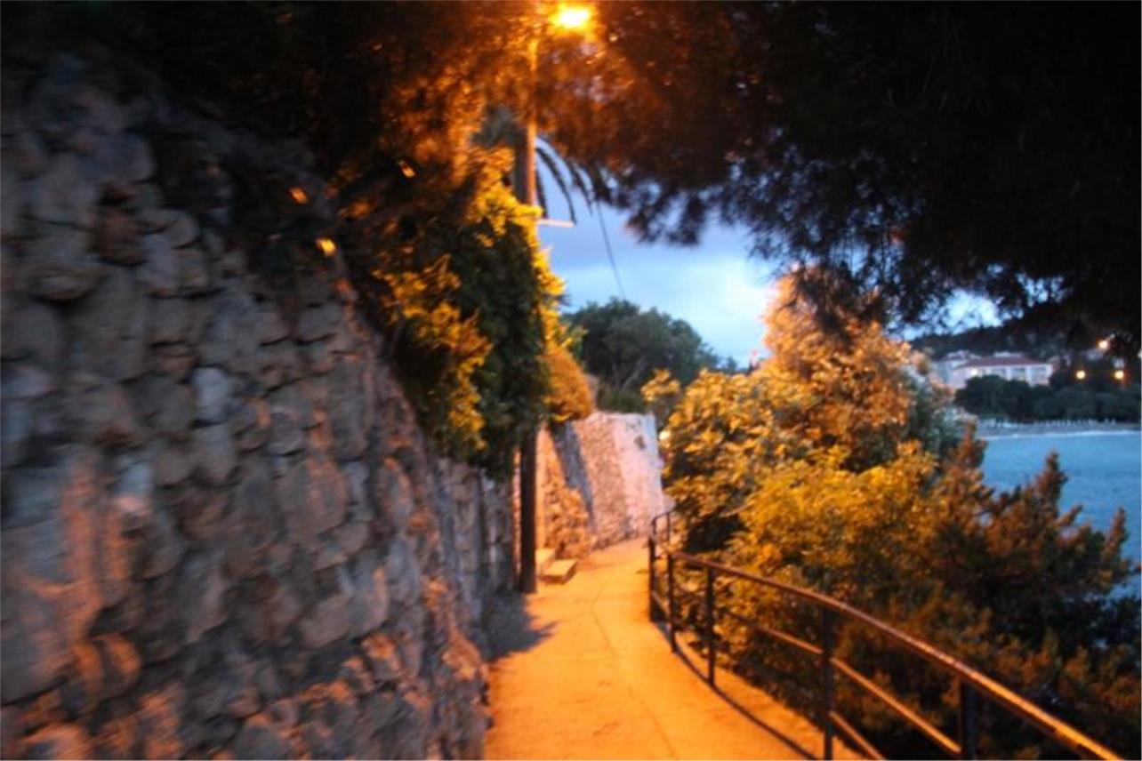 Nika i Meda Pucića 0