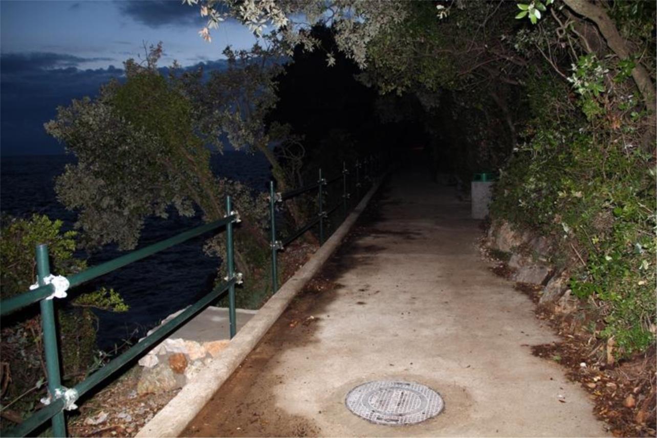 Nika i Meda Pucića 0