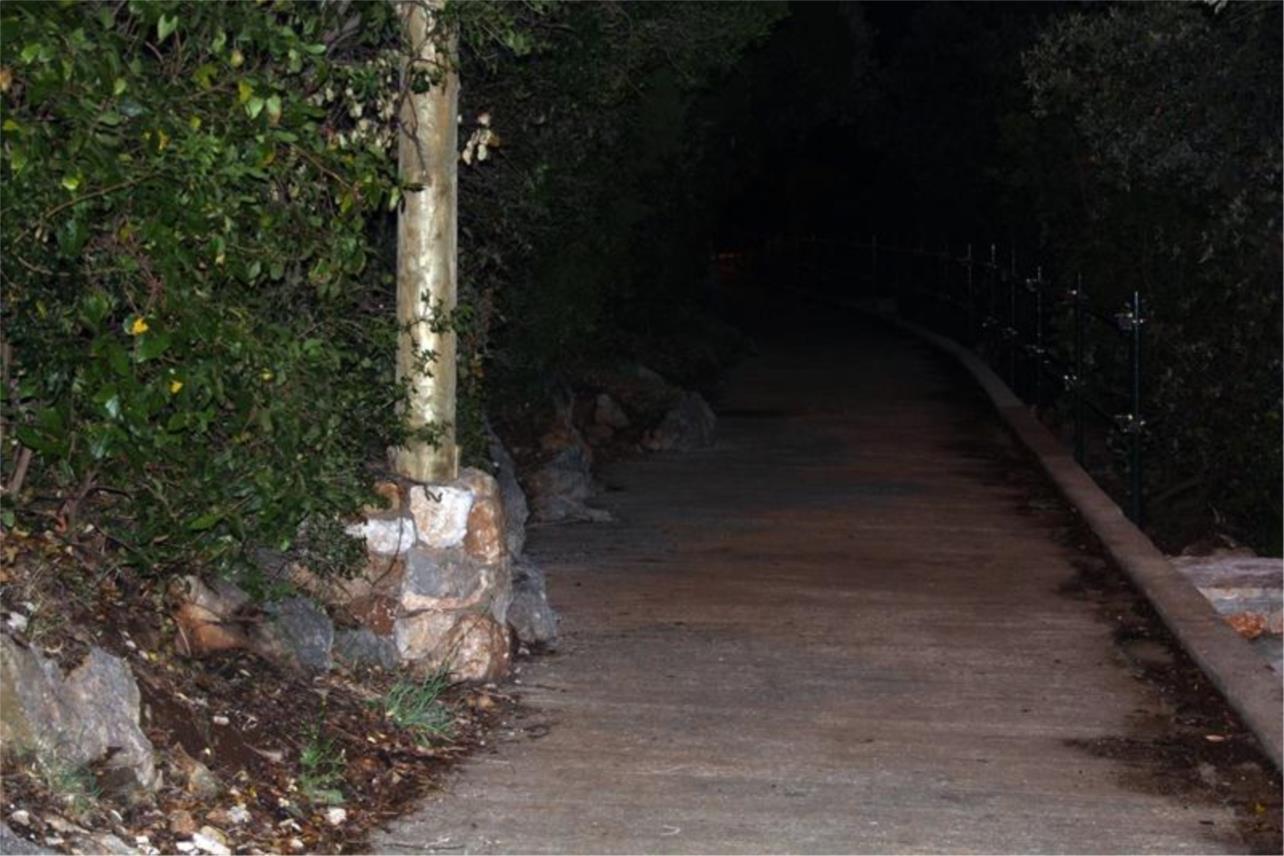 Nika i Meda Pucića 0