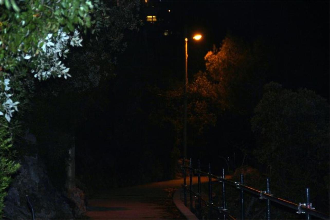 Nika i Meda Pucića 0