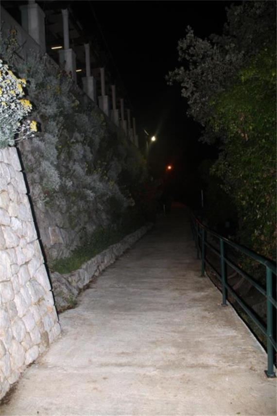 Nika i Meda Pucića 0