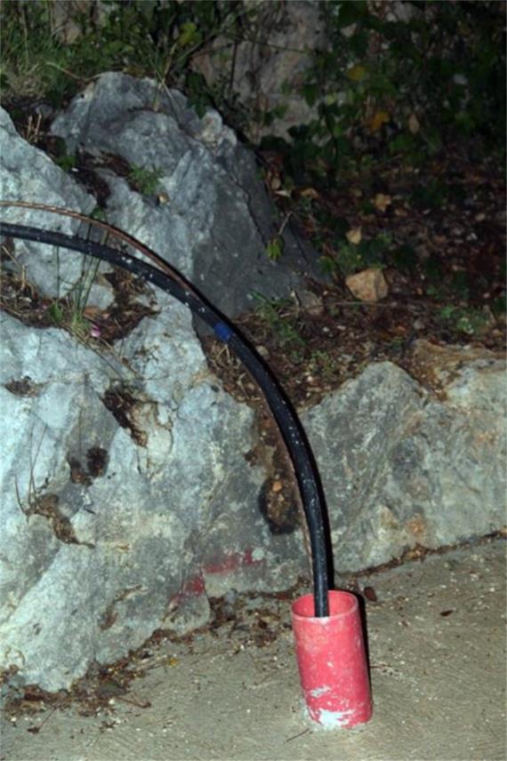 Nika i Meda Pucića 0