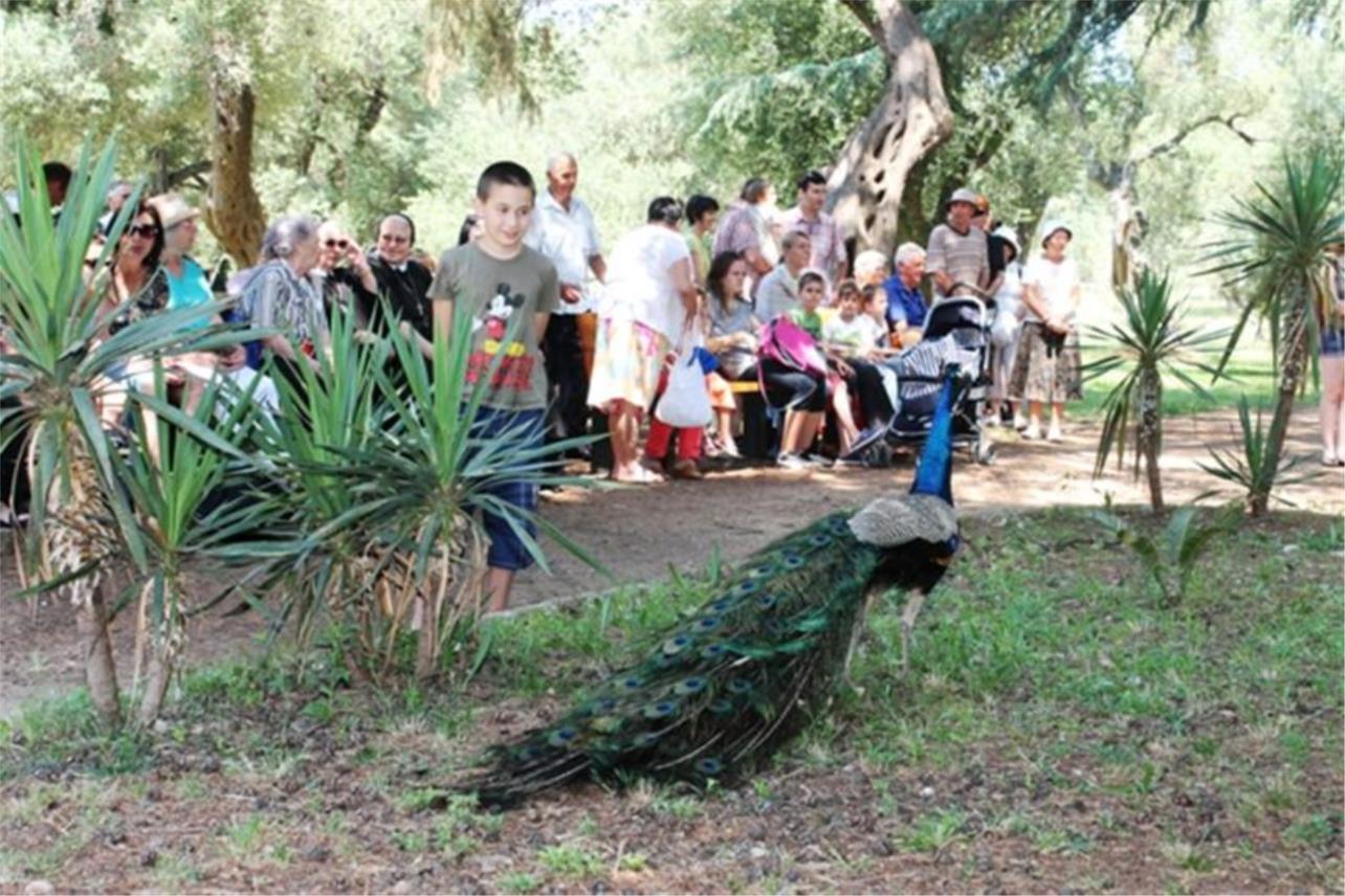 Uzinic Lokrum 0