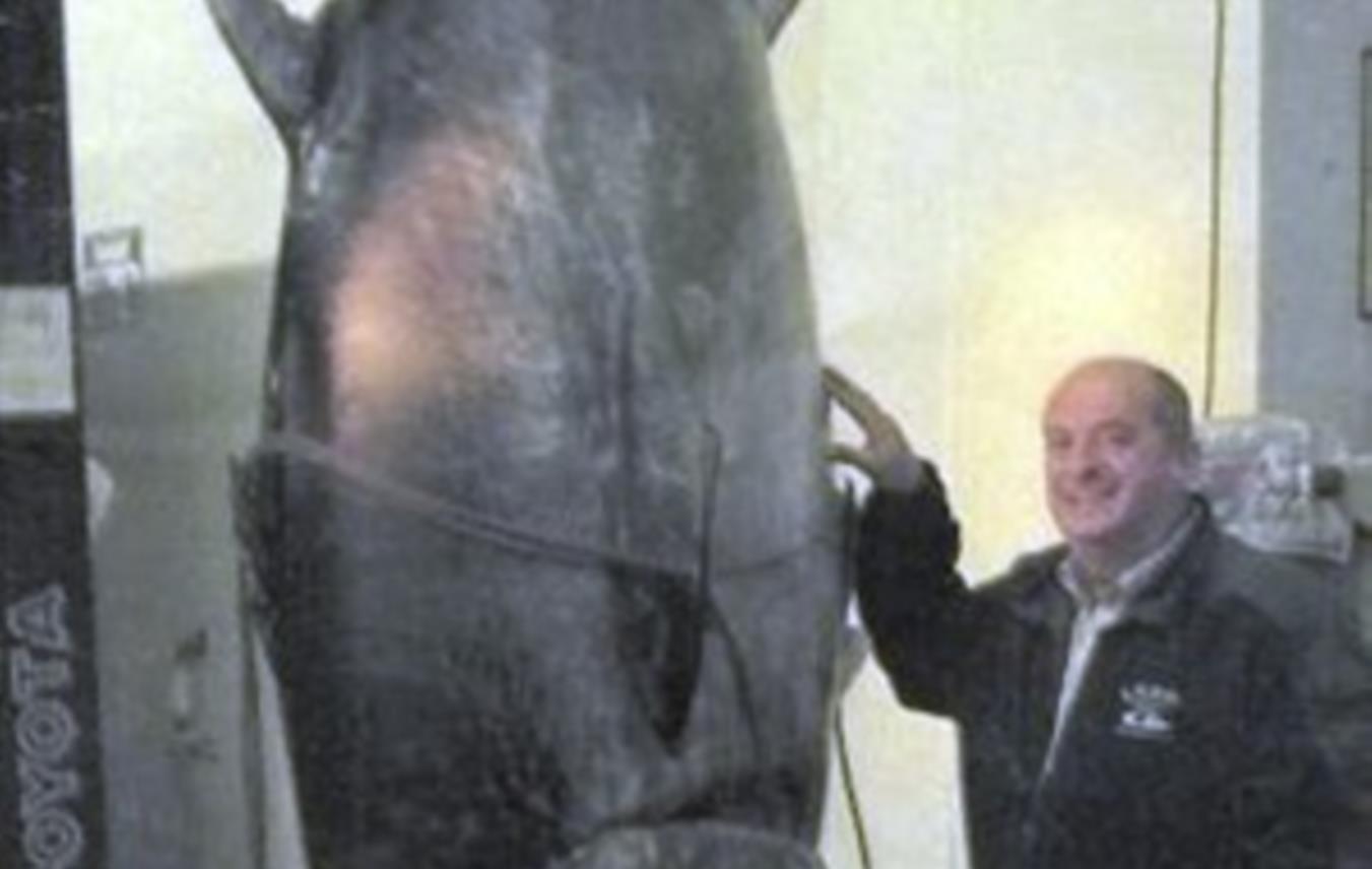 Ribaru oduzeta tuna od 400 kg 