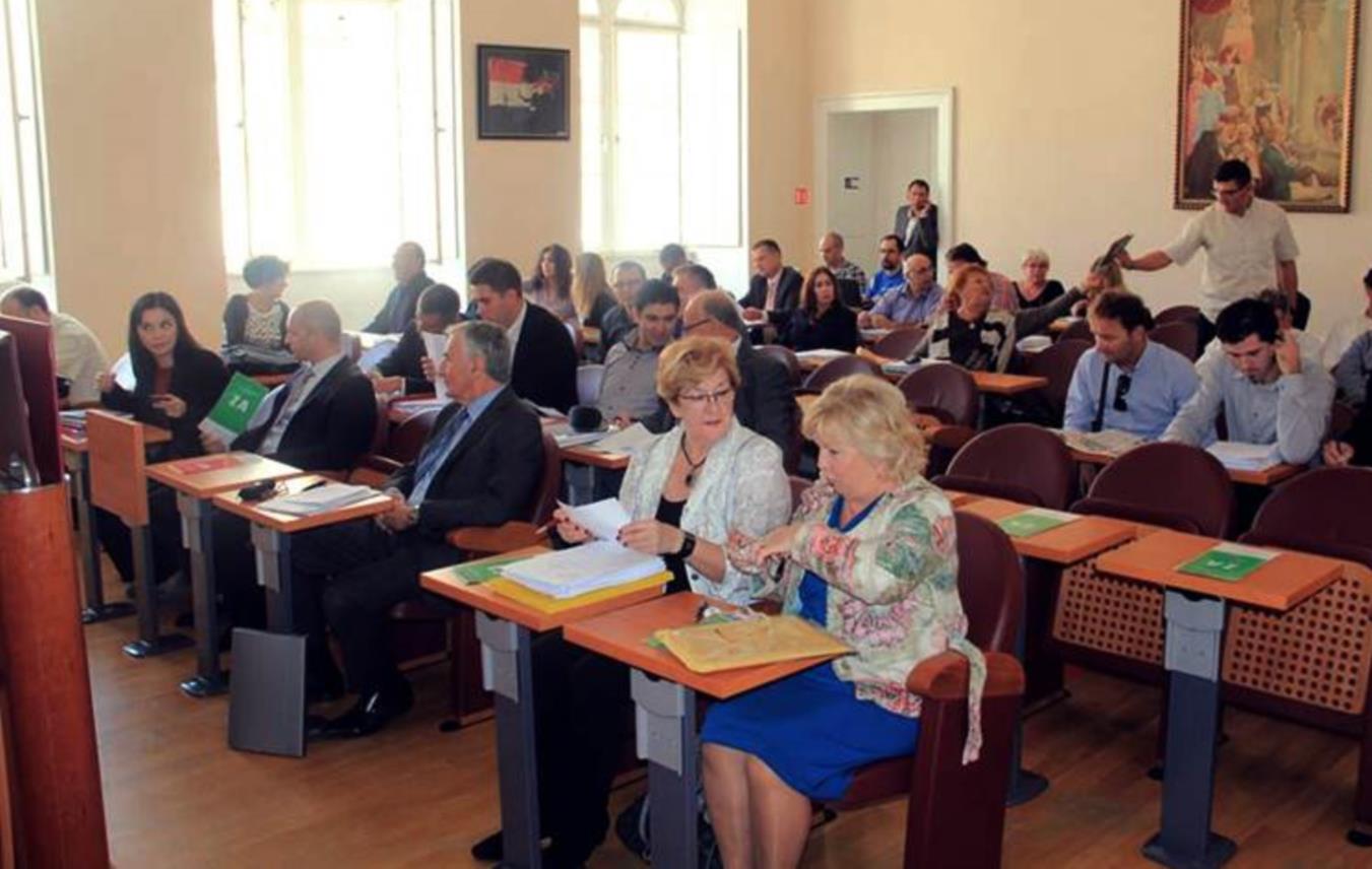 Zupanijska skupstina 2013