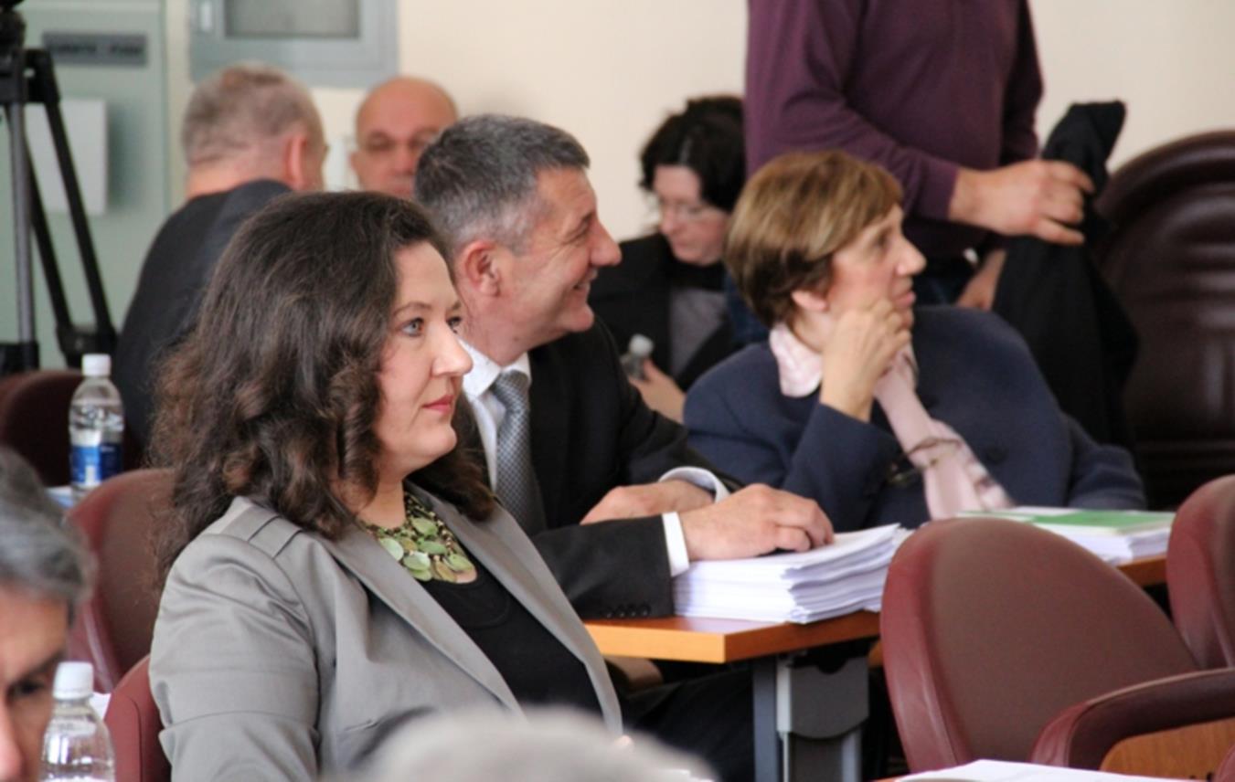 Gradsko vijece06042013