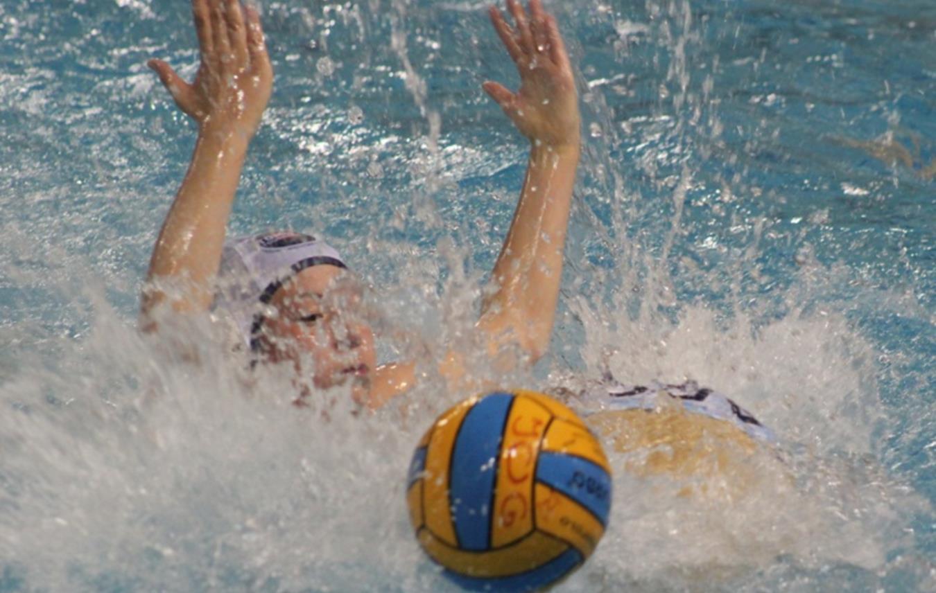 Tomo Udovicic