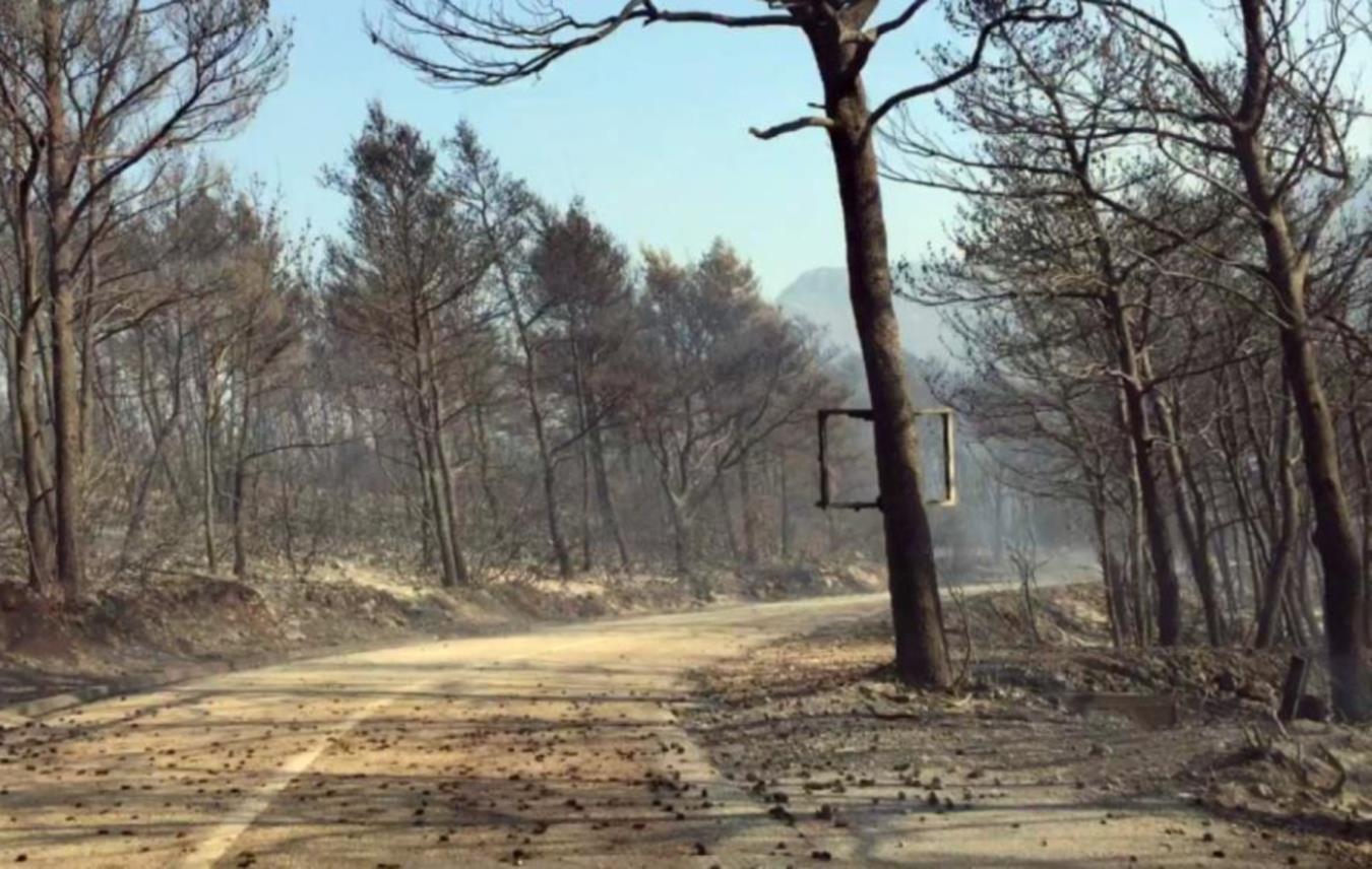 Požar na Pelješcu
