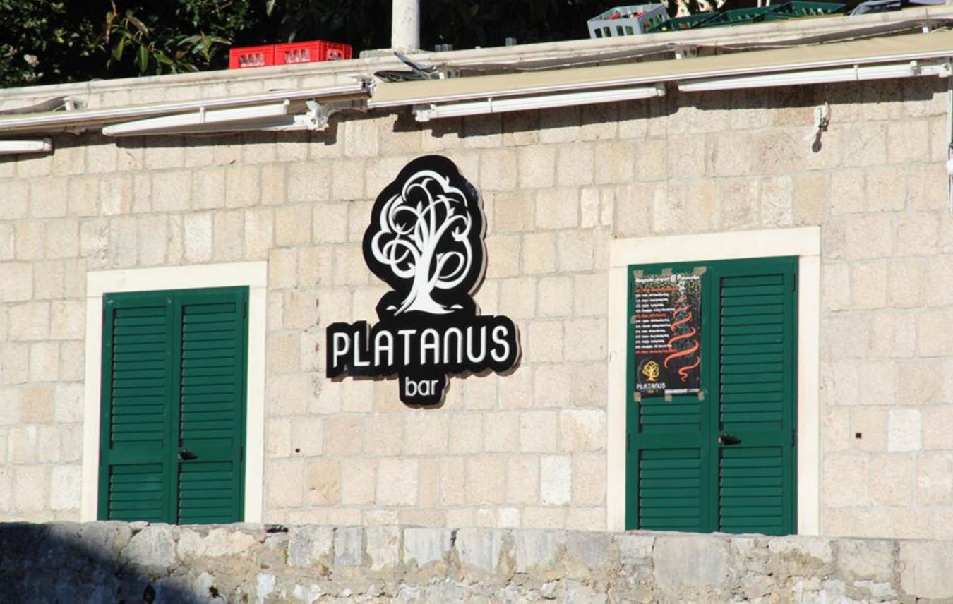 Platanus