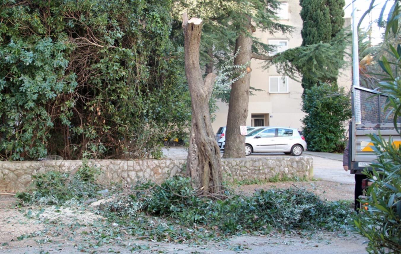 Vrtlar radovi
