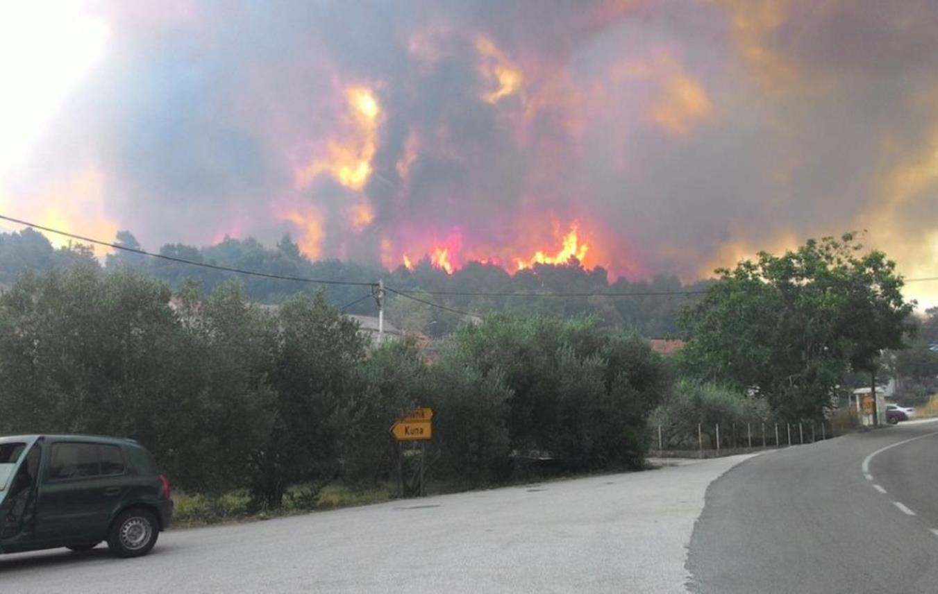 Požar na Pelješcu