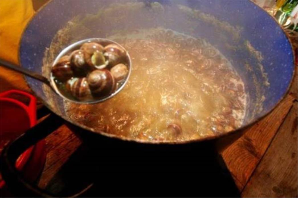  Kuhani puževi