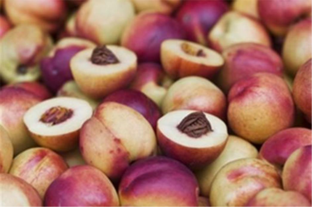 RECEPT DANA:  Ljetni voćni biskvit