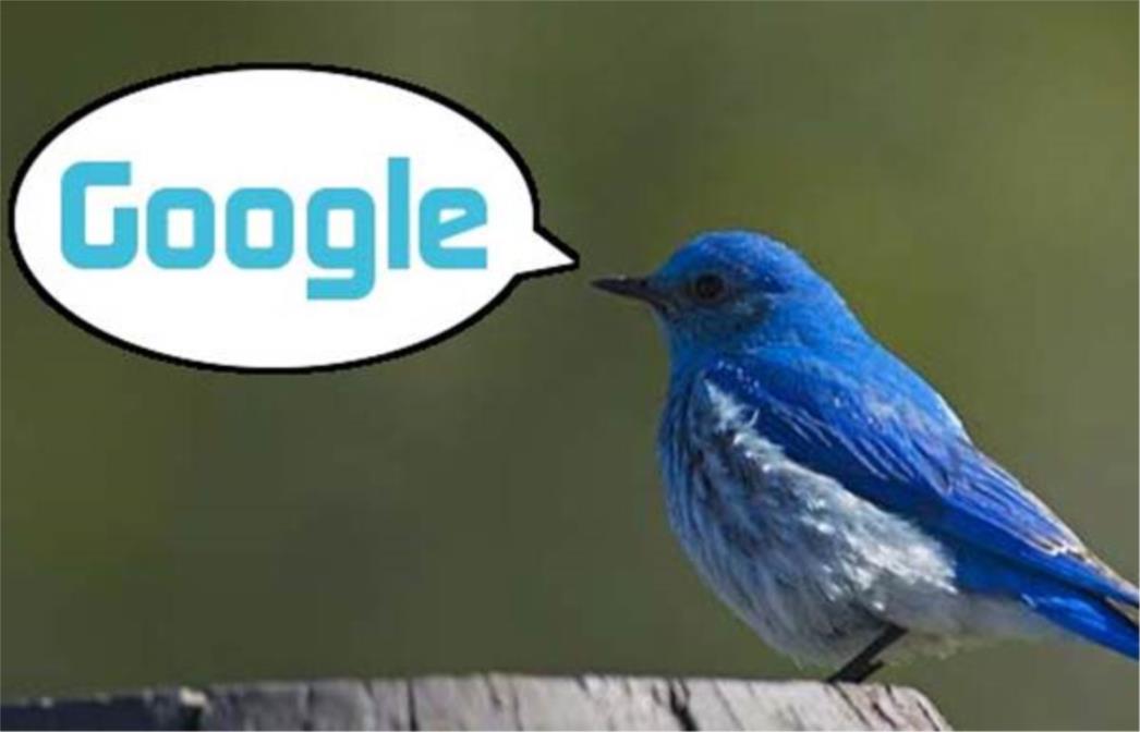 Google Egipćanima omogućava 'twitanje'