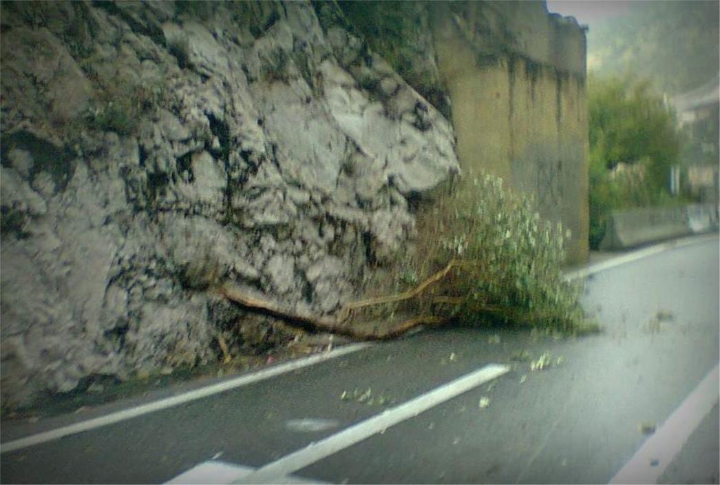 POSLJEDICA NEVREMENA U DUBROVNIKU: Odlomila se grana na cesti ispod mosta