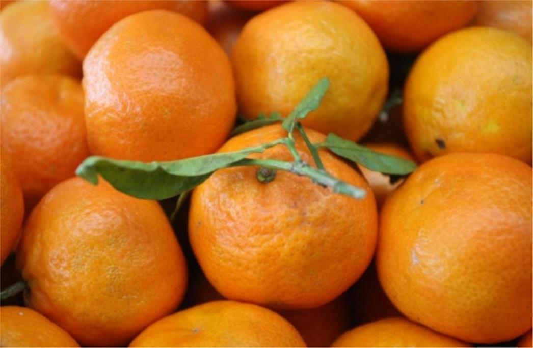 Neretvani podijelili Zagrepčanima deset tona mandarina