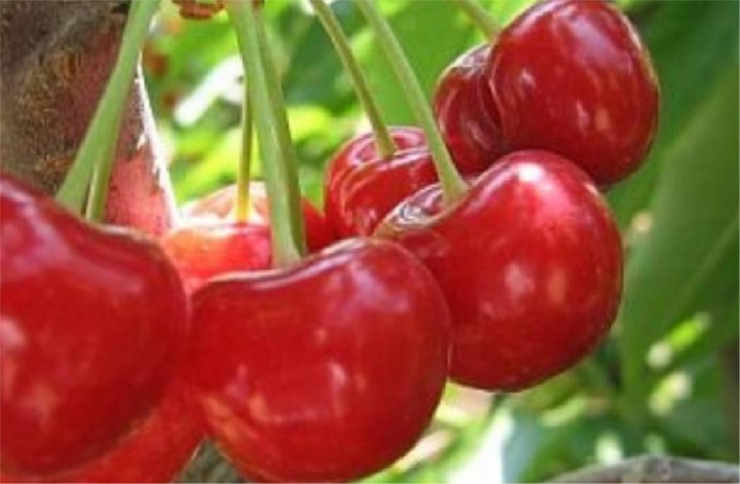 Otkrijte koje namirnice možete jesti i po noći, Ne debljaju i osiguravaju miran san!