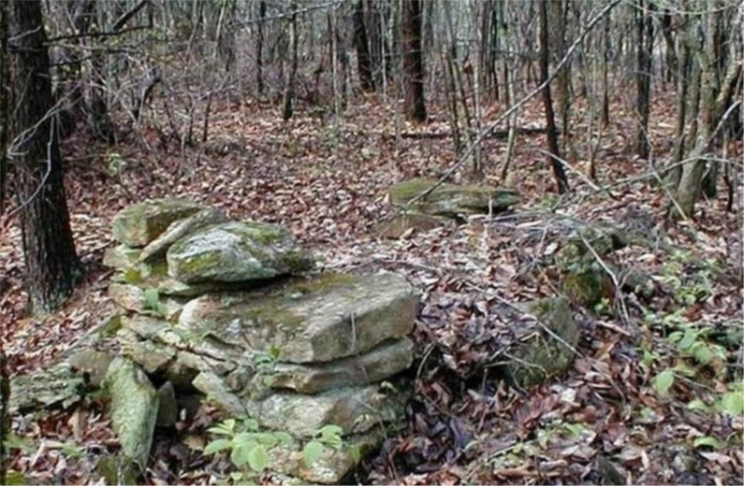TEST: Možete li na ovoj fotografiji pronaći ljudsko biće? 99 posto ljudi ne može!