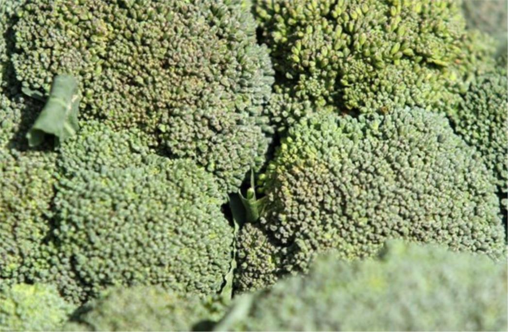 Ovo je deset jednostavnih i učinkovitih lijekova protiv raka