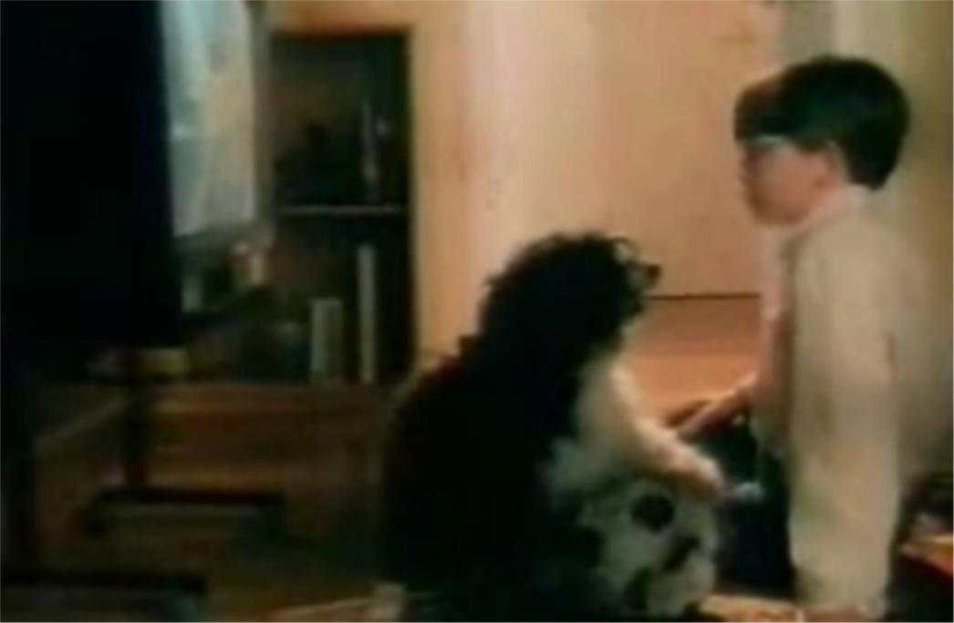 (VIDEO) Nostalgija iz djetinjstva: Sjećate li se najtužnijeg videa na svijetu?