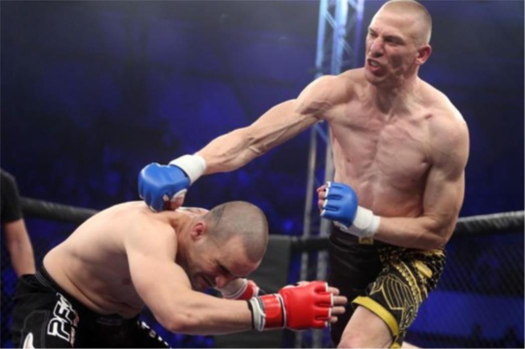 Finale MMA liga: Koga prvaci vide kao pobjednike večeras?
